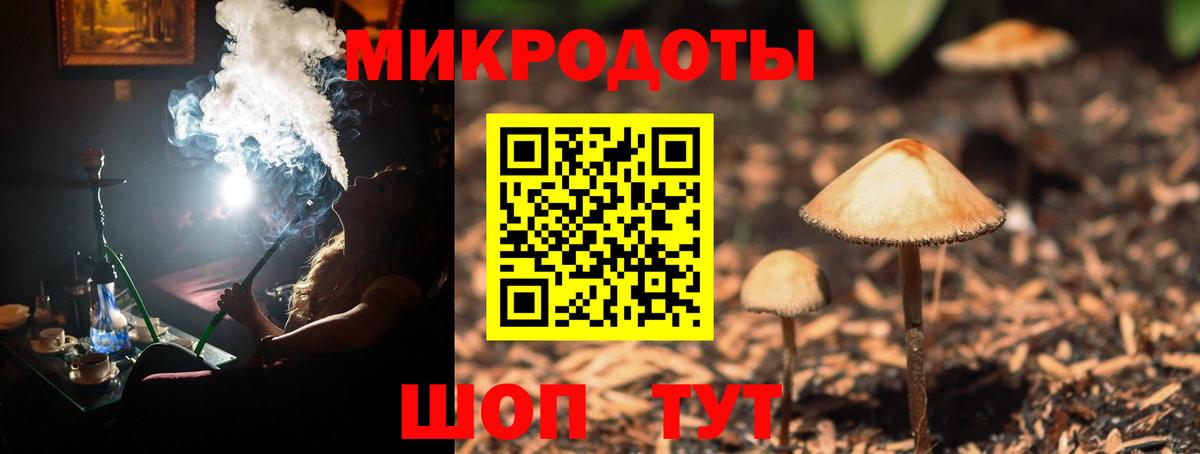 магазин    Вход с VPN  Похвистнево  Галлюциногенные грибы мицелий 